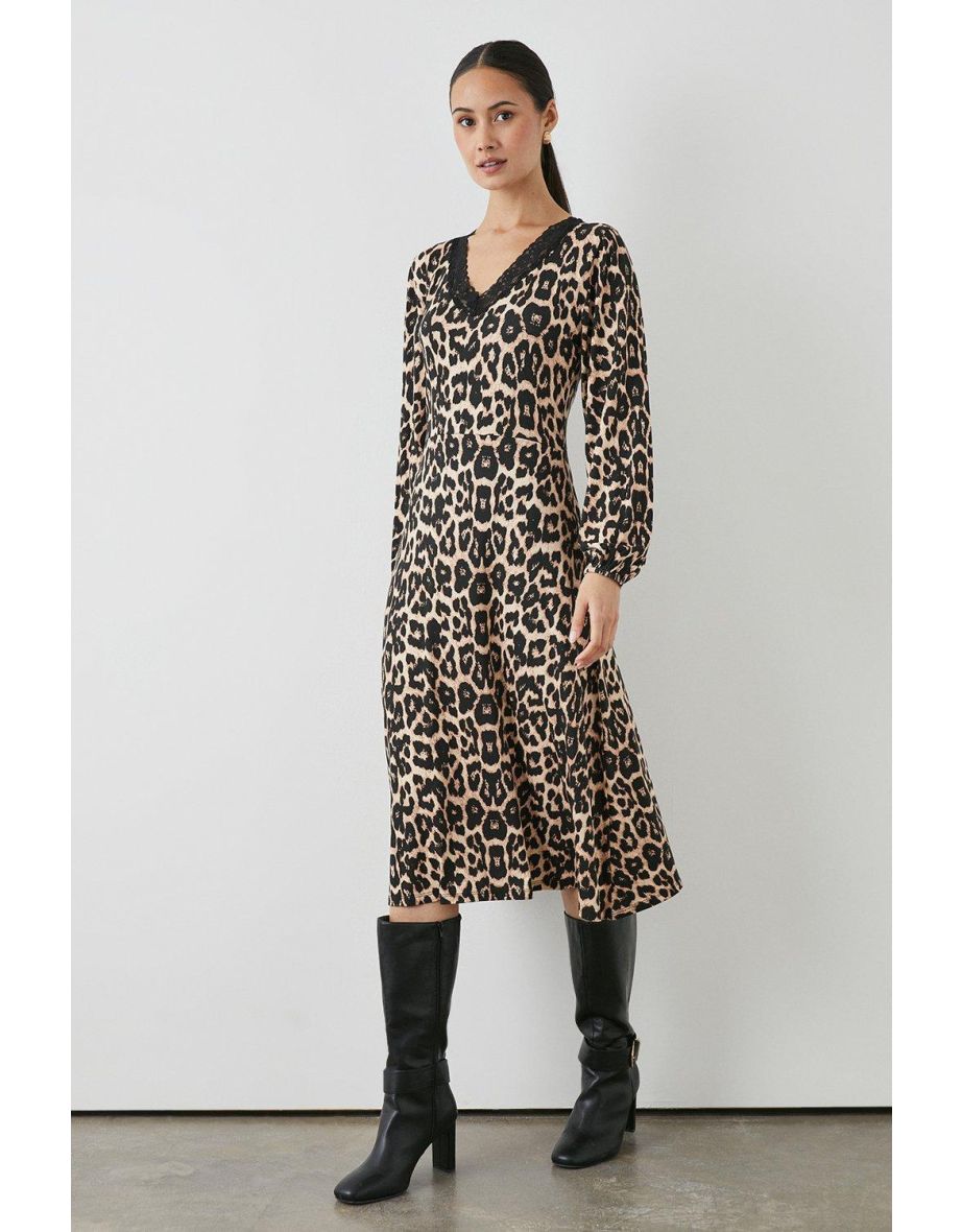 Leopard print dress with lace trim best sale