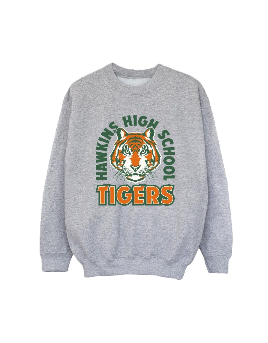 Netflix Boys Stranger Things Hawkins Arch Tiger Sweatshirt - Sports Grey - 1