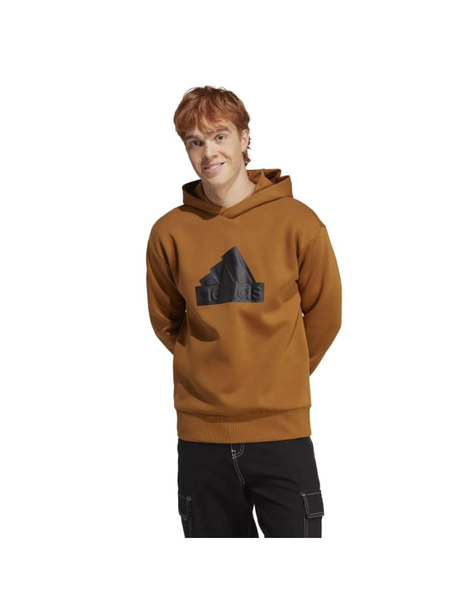 Vans future standard cheapest pullover hoodie