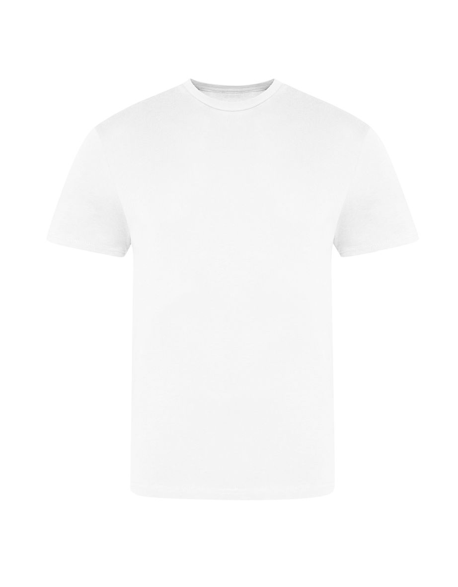 Awdis Unisex Adult The 100 T-Shirt - White