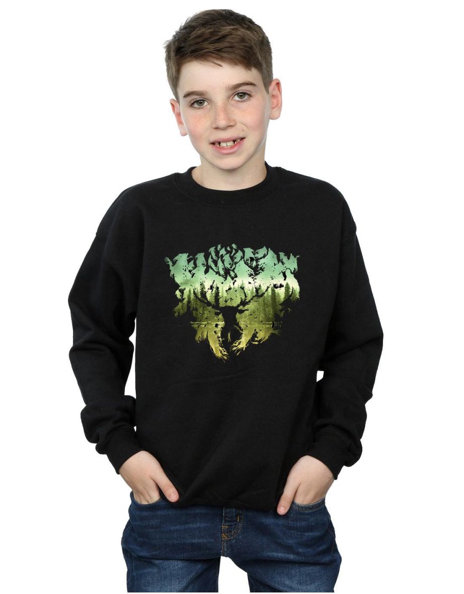 Harry Potter Boys Magical Forest Sweatshirt - Black