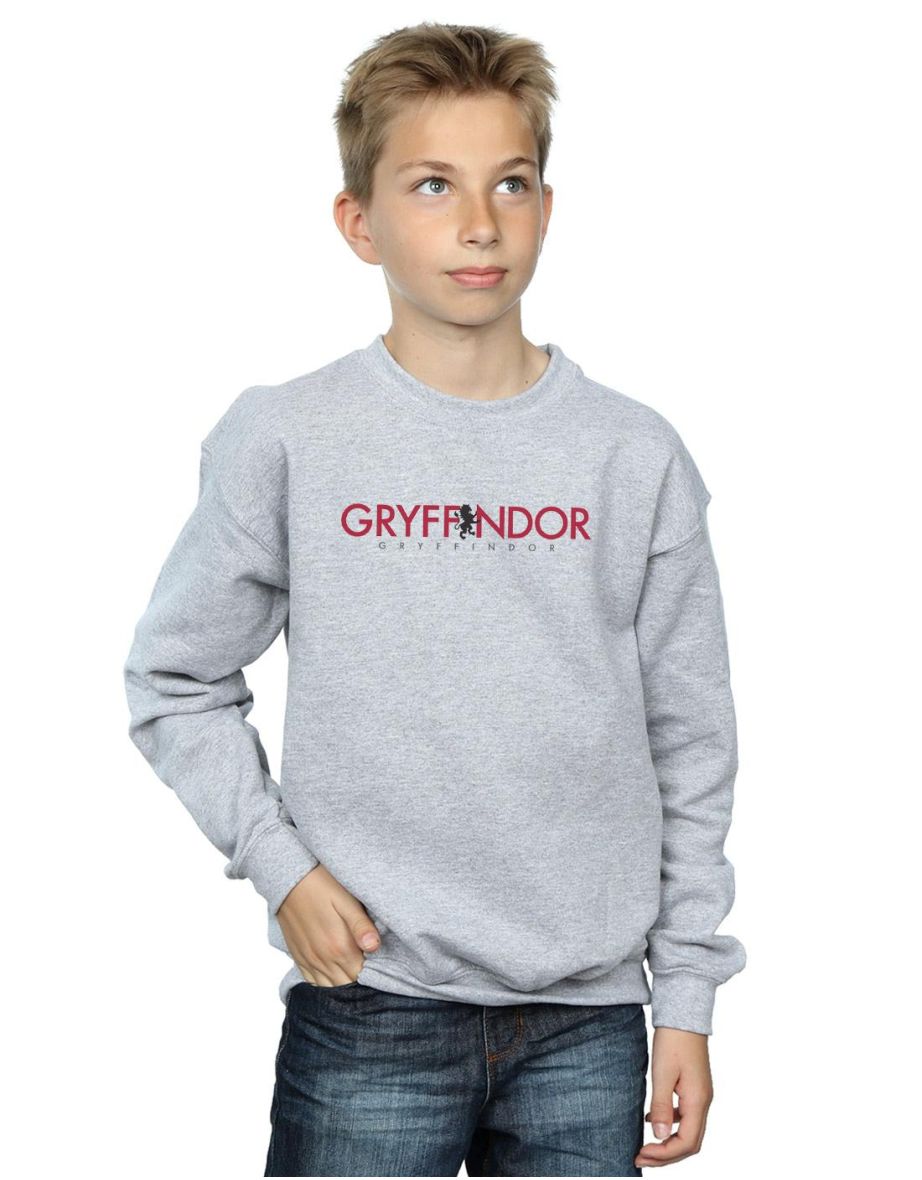 Harry Potter Boys Gryffindor Text Sweatshirt - Sports Grey