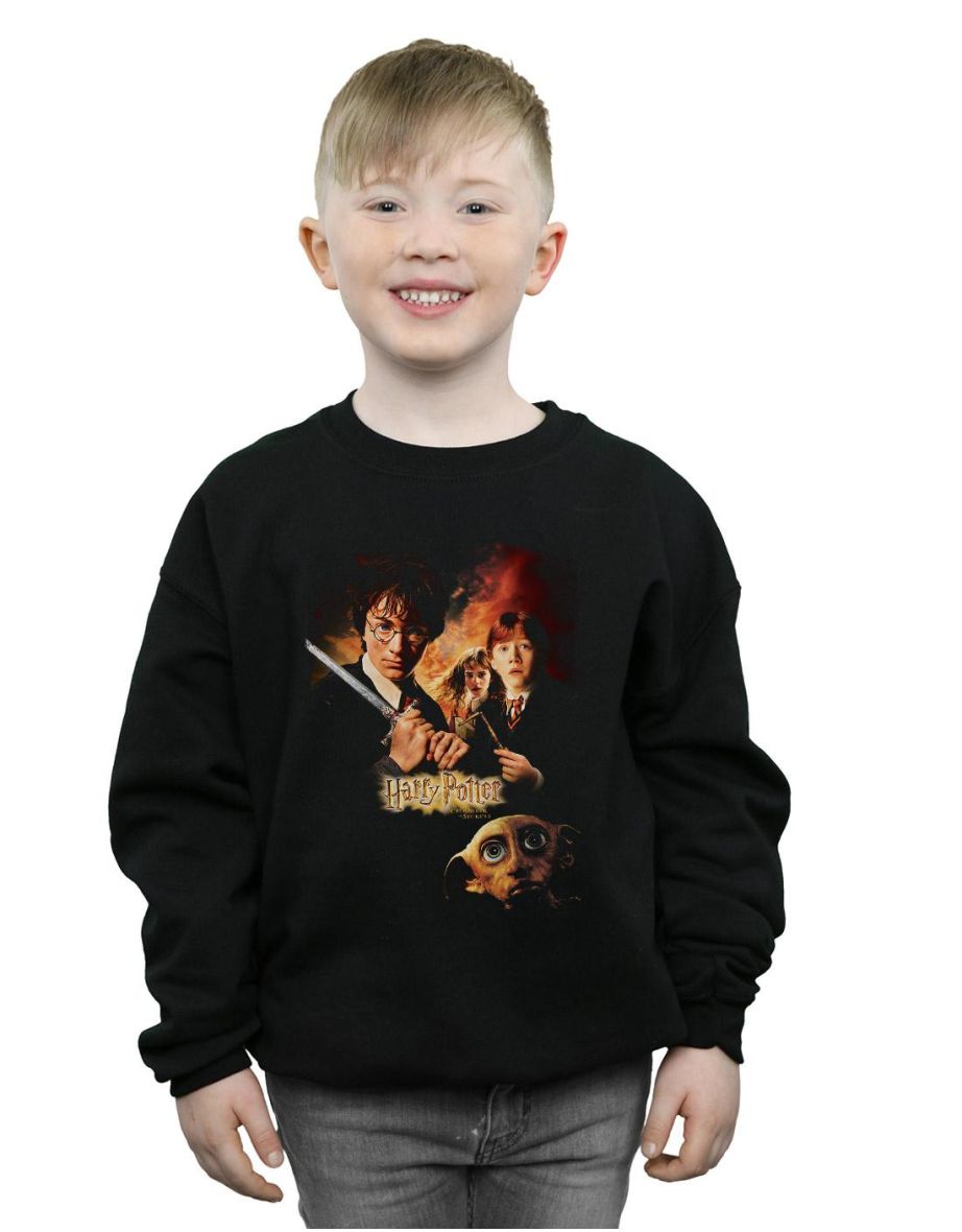 Harry Potter Boys Chamber Of Secrets Poster Sweatshirt - Black