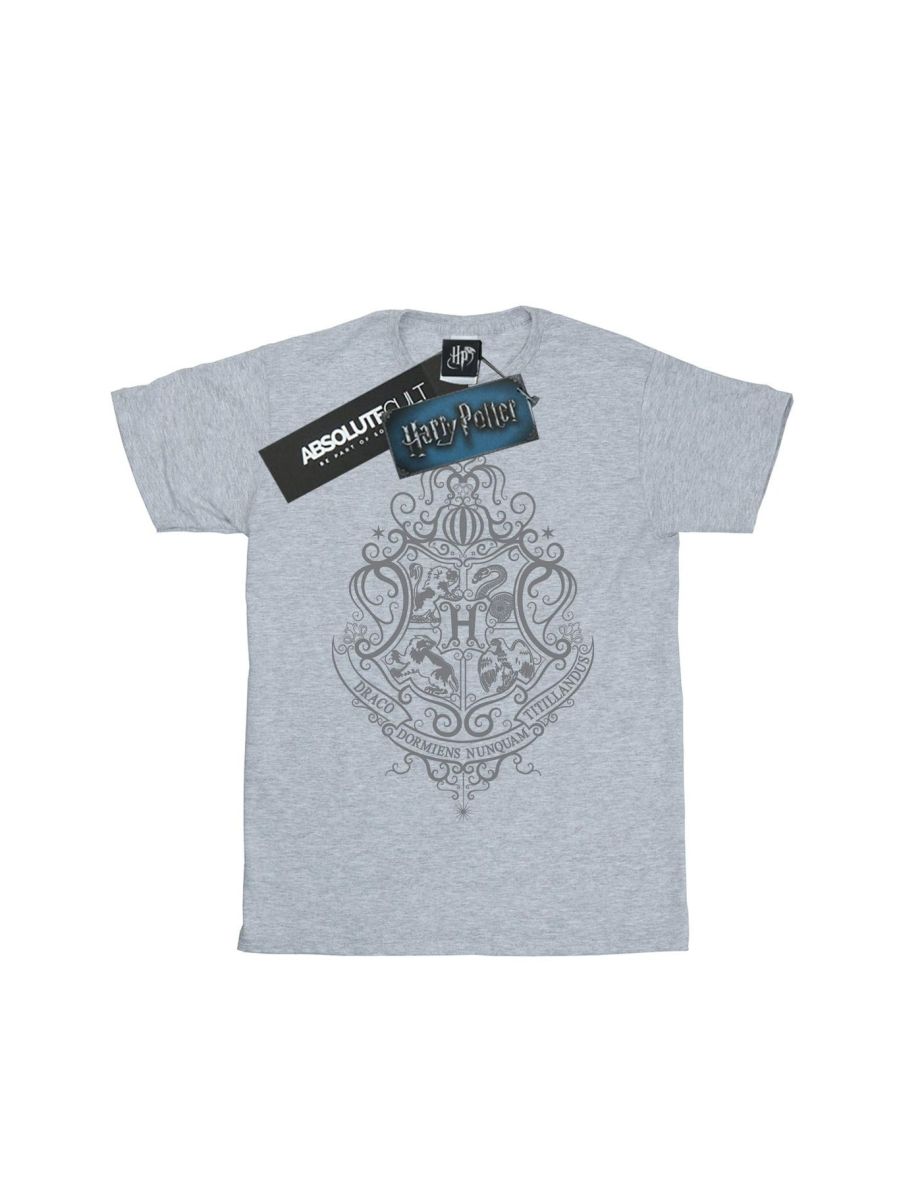 Harry Potter Mens Hogwarts Draco Dormiens Crest T-Shirt - Sports Grey