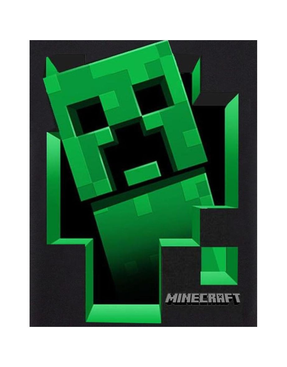 Minecraft Boys Creeper Inside T-Shirt - Black - 2
