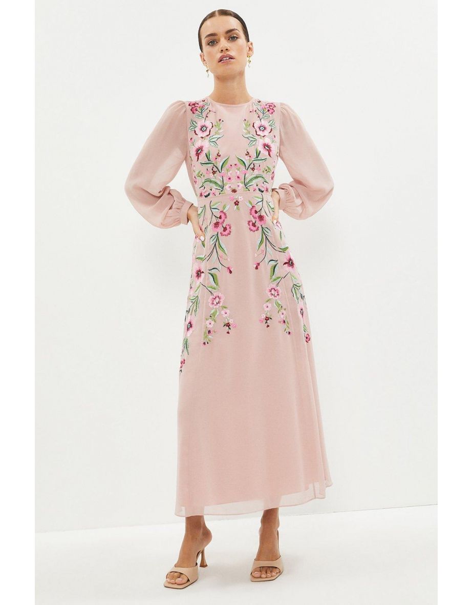 Coast embroidered dress online