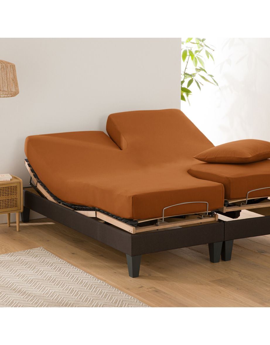 Scenario Stretch Cotton Jersey Fitted Sheet for Articulated Beds
