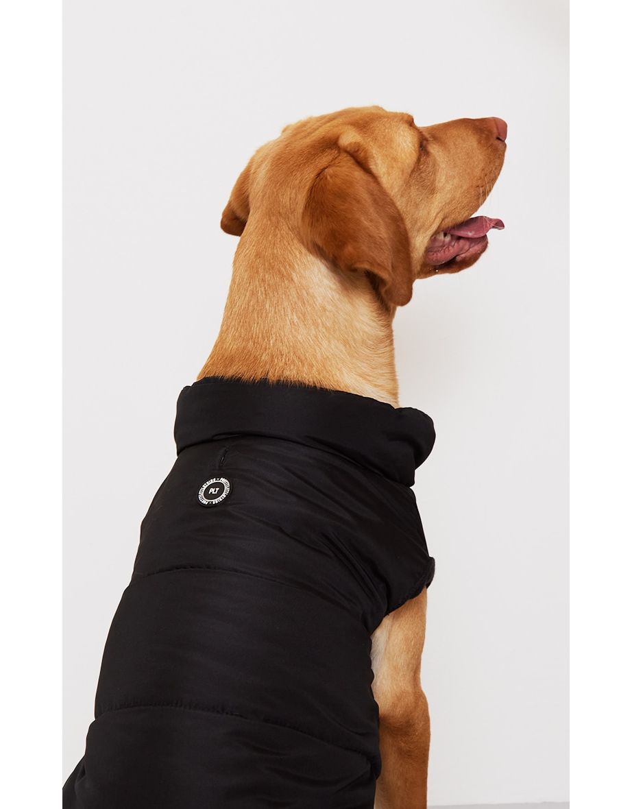 Buy dog clearance coats