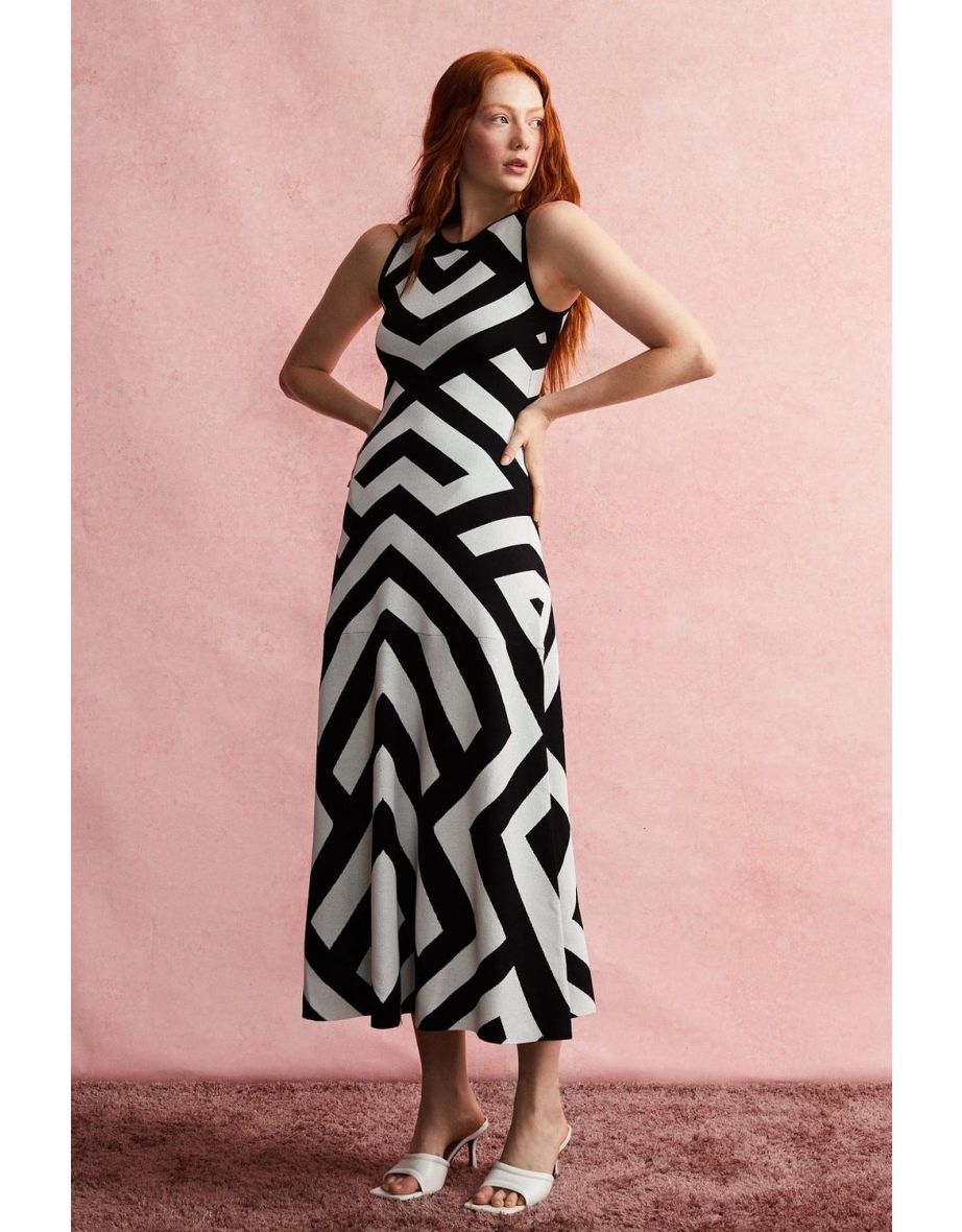 Coast monochrome dress hotsell