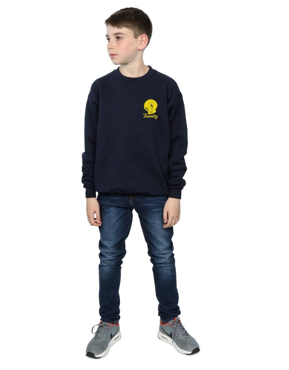 Looney Tunes Boys Tweety Pie Head Sweatshirt - Navy Blue - 3