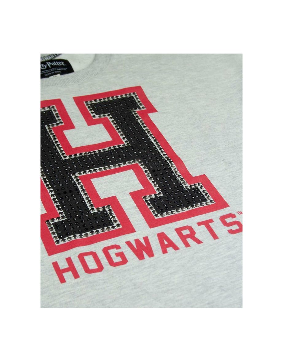 Harry Potter Womens/Ladies Hogwarts Alumni Cropped T-Shirt - 2