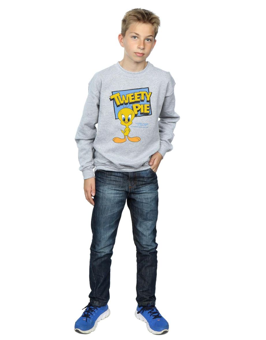 Looney Tunes Boys Classic Tweety Pie Sweatshirt - Sports Grey - 3