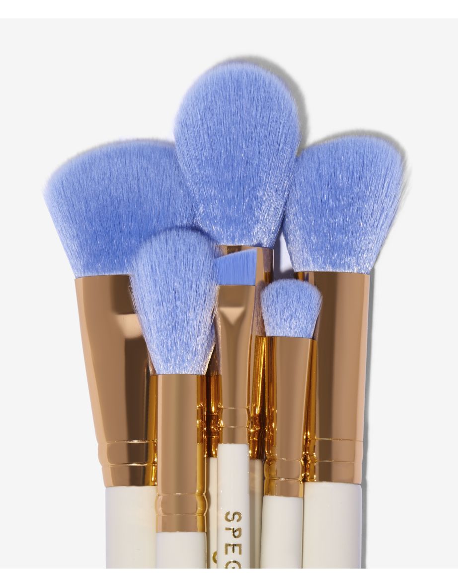 Mykonos Travel Book 6 Piece Full Sized Brush Set
