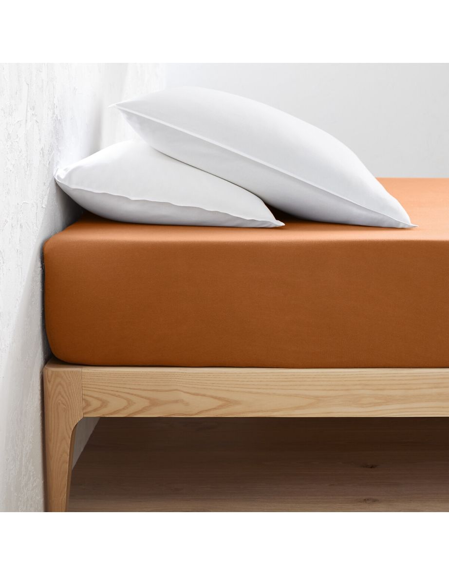 Scenario 30cm 100% Cotton Jersey Fitted Sheet
