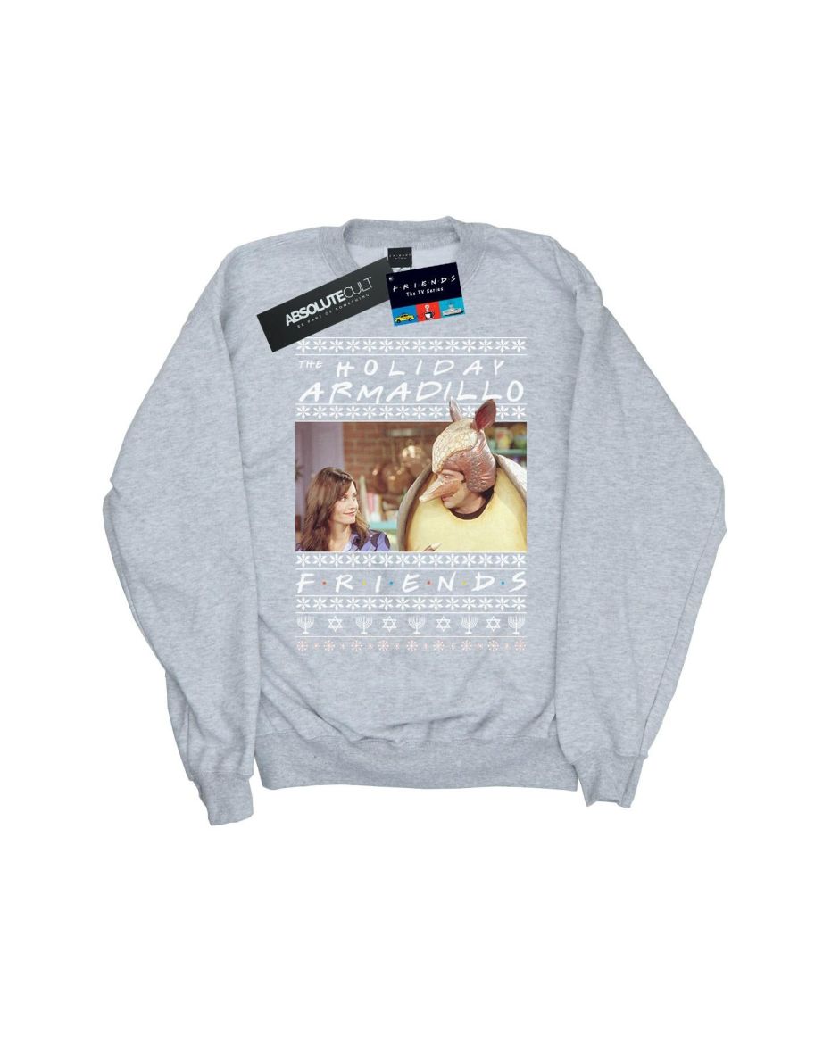 Friends Boys Fair Isle Holiday Armadillo Sweatshirt - Sports Grey