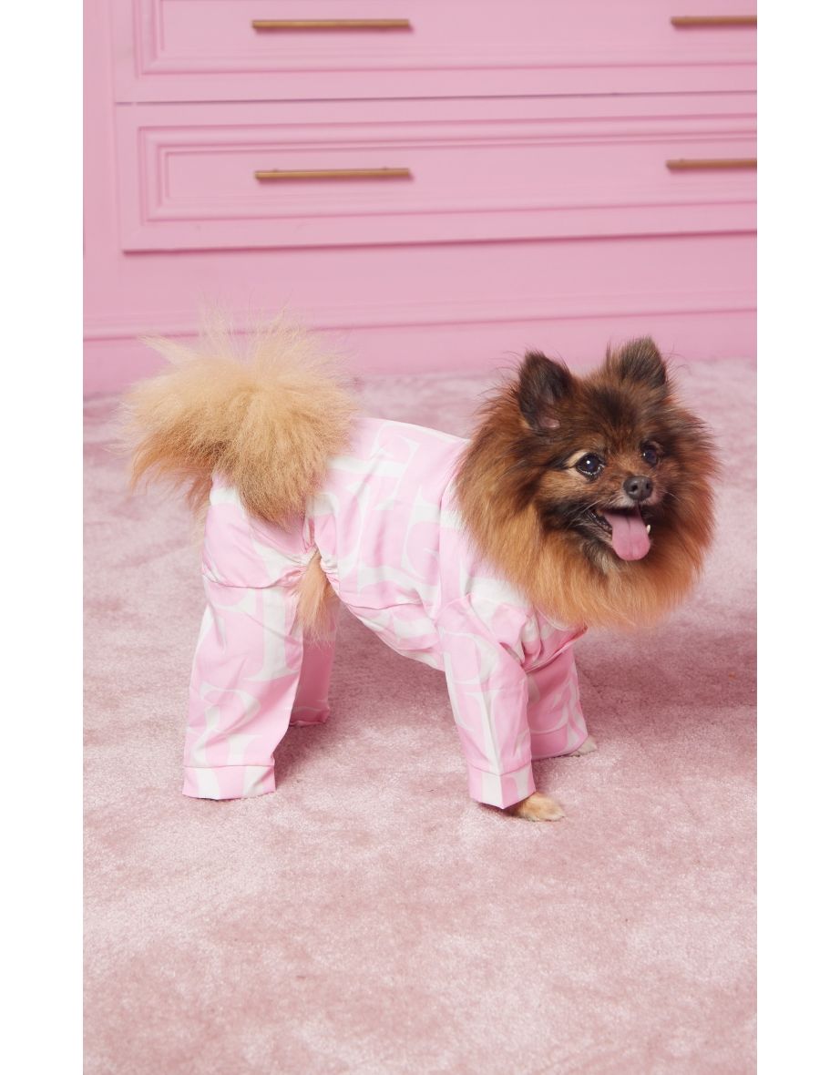 Buy Pet Apparel Prettylittlething in Qatar VogaCloset