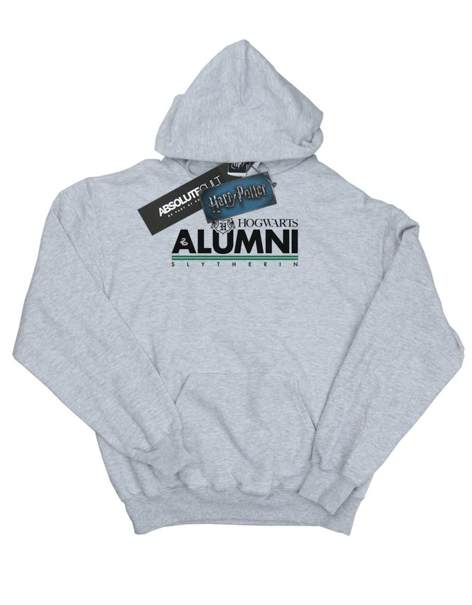Harry Potter Girls Hogwarts Alumni Slytherin Hoodie - Sports Grey - 1