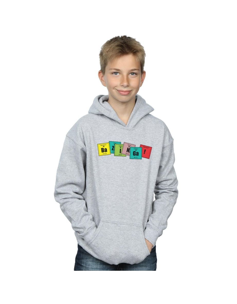 The Big Bang Theory Boys Bazinga Elements Hoodie - Sports Grey