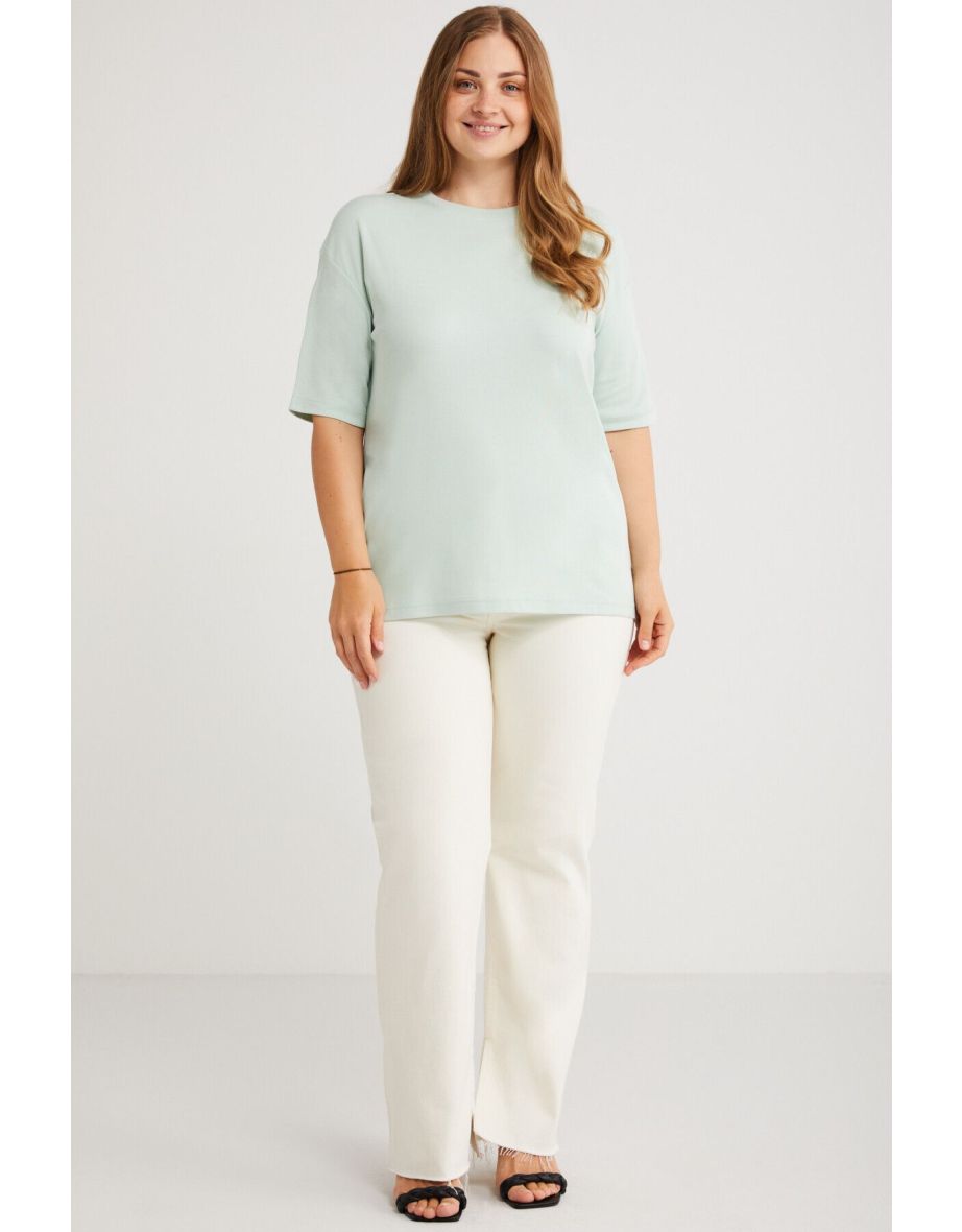 Vivian Women's 100% Organic Cotton Oversize Fit Crew Neck Light Green Plus Size T-shirt