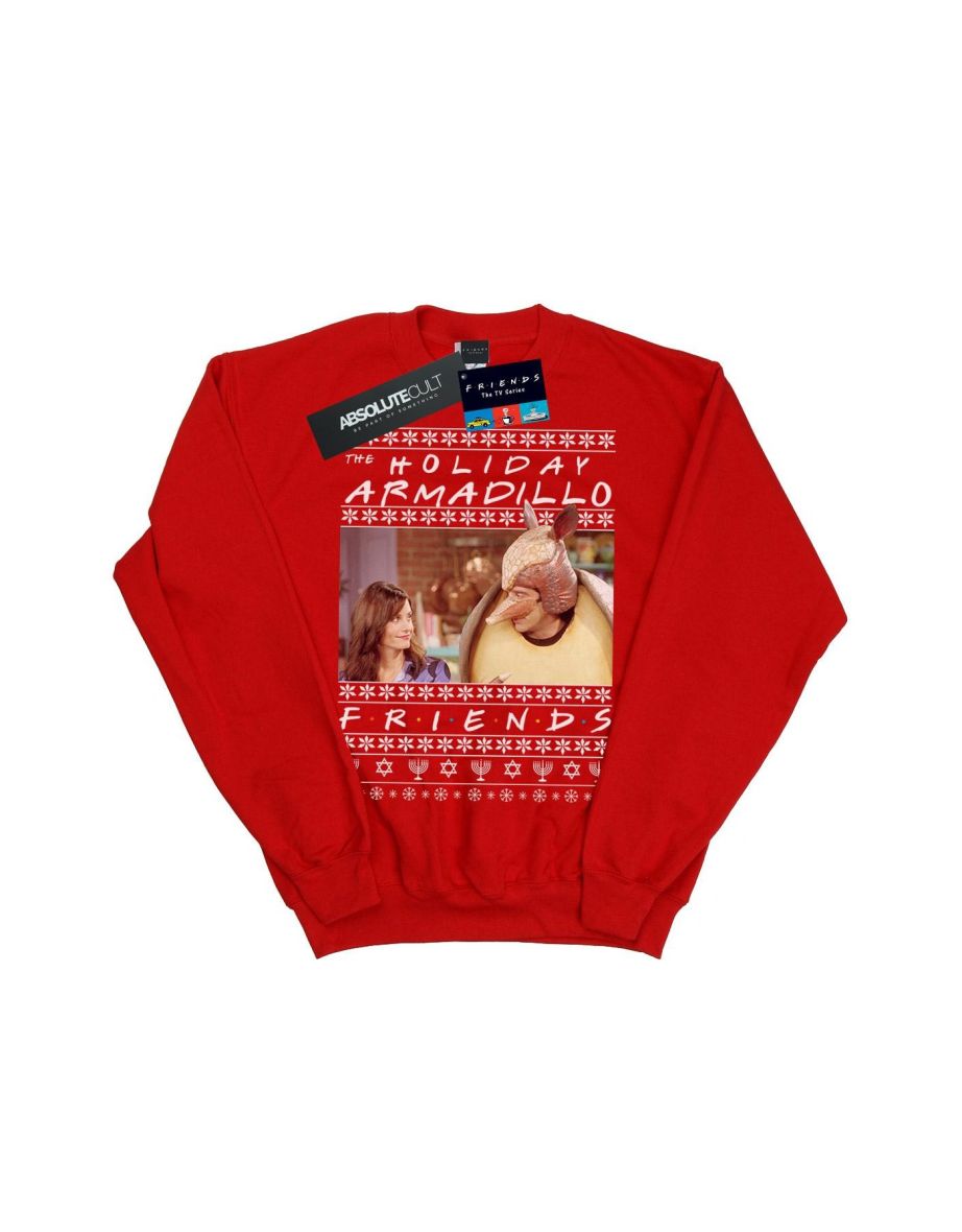 Friends Boys Fair Isle Holiday Armadillo Sweatshirt - Red