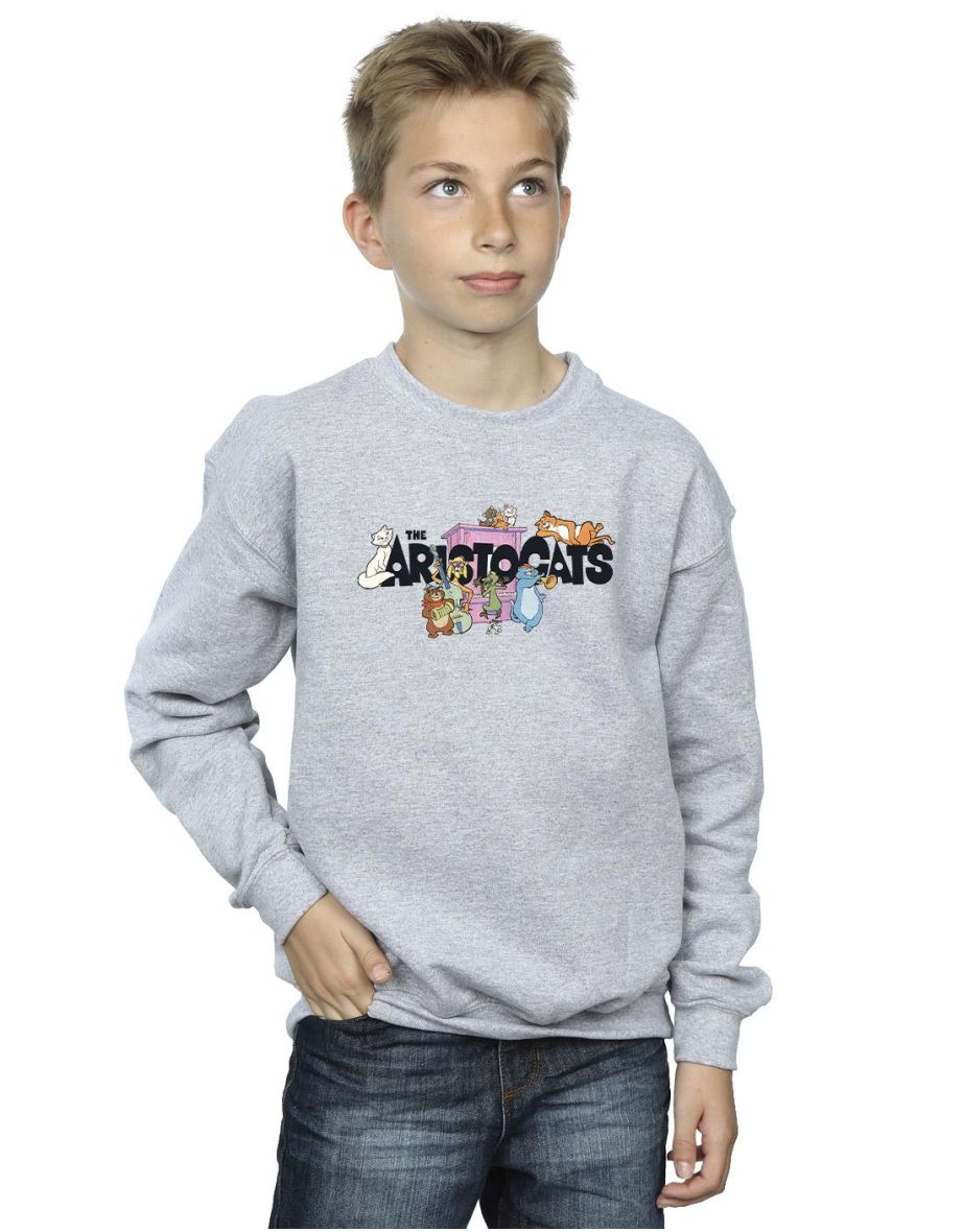 Disney Boys The Aristocats Music Logo Sweatshirt - Sports Grey
