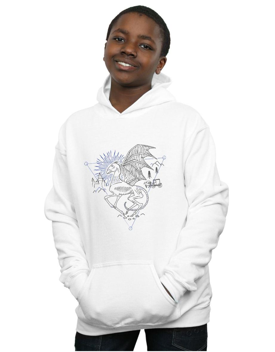 Harry potter boys on sale hoodie