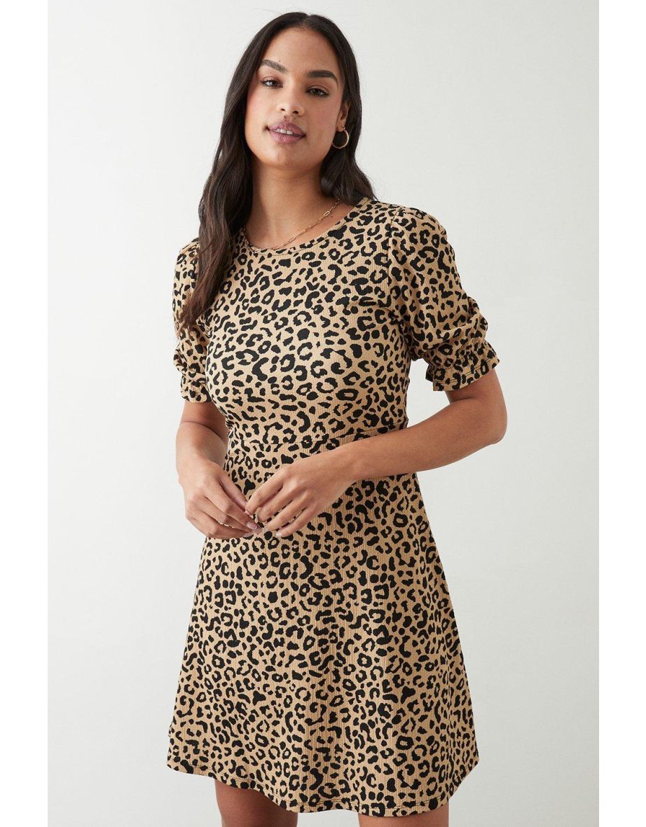 Leopard print sale jumper dorothy perkins