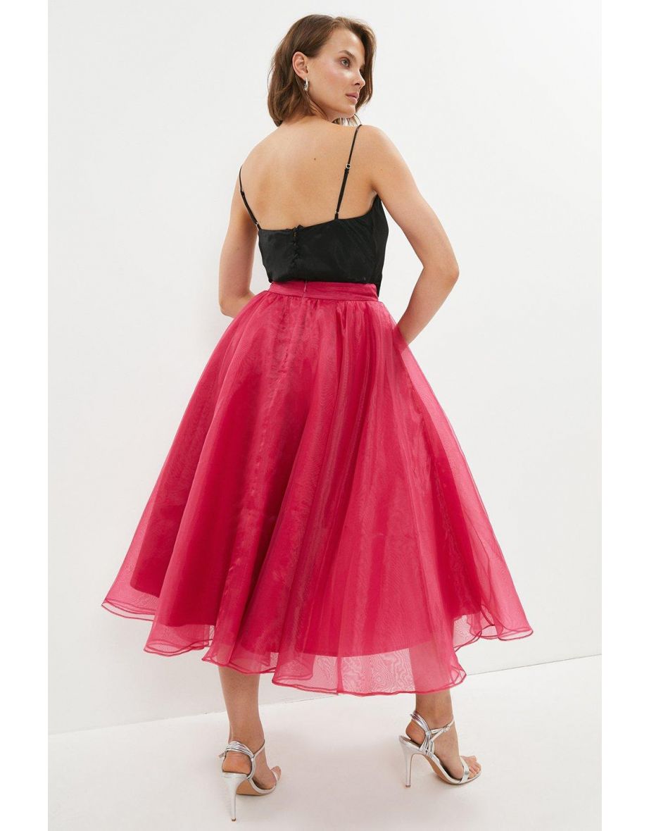 Organza Maxi Skirt - 2