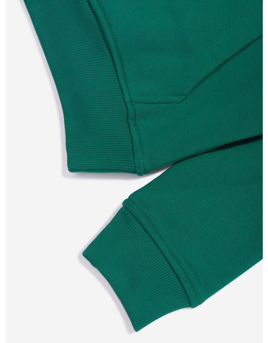 Boys Drew Peak Hoodie in Green - 4
