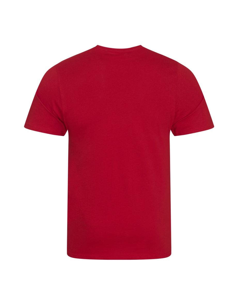 Ecologie Mens Organic Cascades T-Shirt - Fire Red - 1