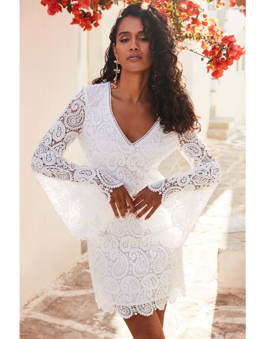 Oasis lace shift clarifier dress