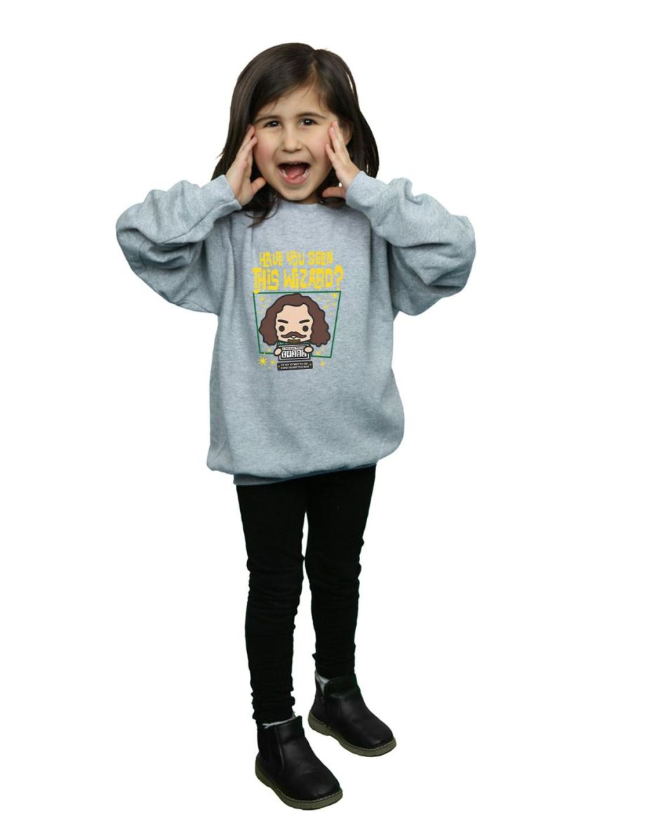 Harry Potter Girls Sirius Black Azkaban Junior Sweatshirt - Sports Grey - 3