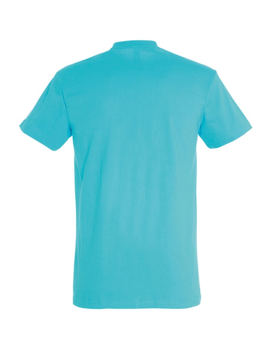 SOLS Mens Imperial Heavyweight Short Sleeve T-Shirt - Blue Atoll - 1