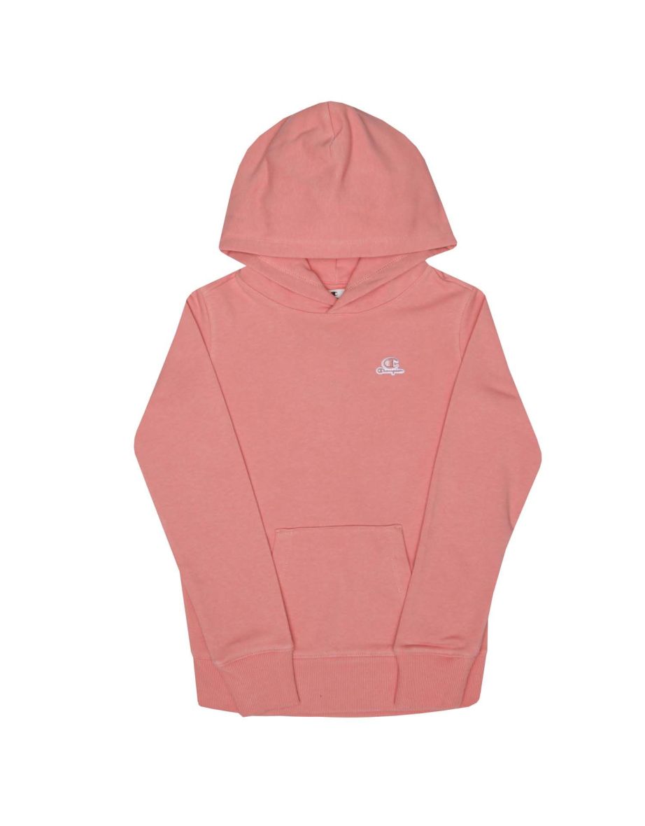 Champion on sale hoodies junior