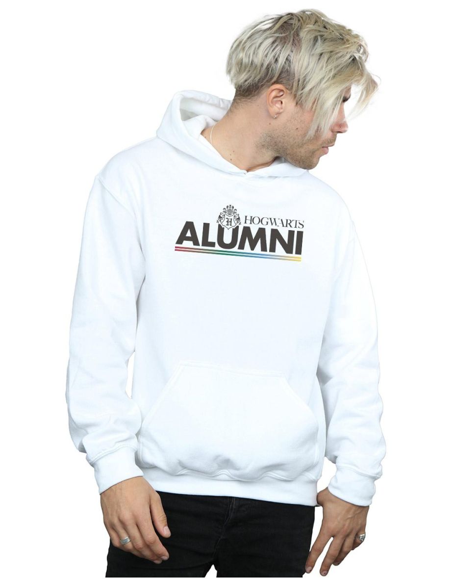 Hogwarts 2025 alumni hoodie