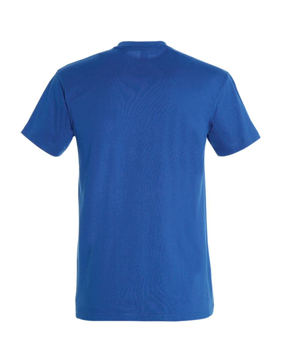 SOLS Mens Imperial Heavyweight Short Sleeve T-Shirt - Royal Blue - 1