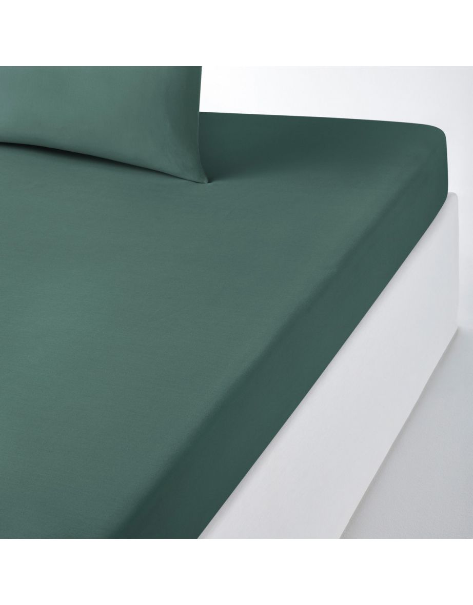 Scenario Plain Fitted Sheet