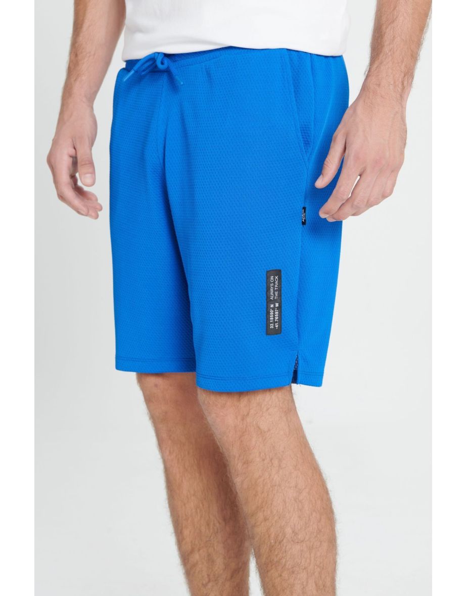 Men's Saxe Blue Standard Fit Normal Cut Knitted Sports Shorts - 5