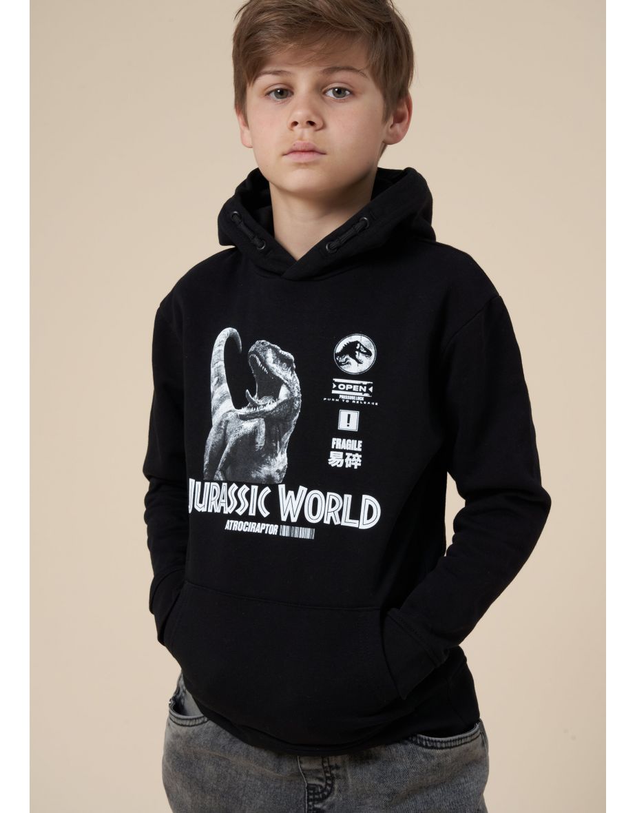 Jurassic Park Hoodie