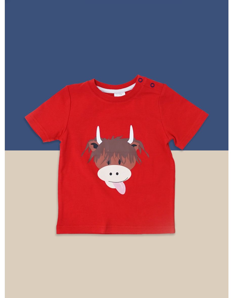 Highland Cow T-Shirt - 3