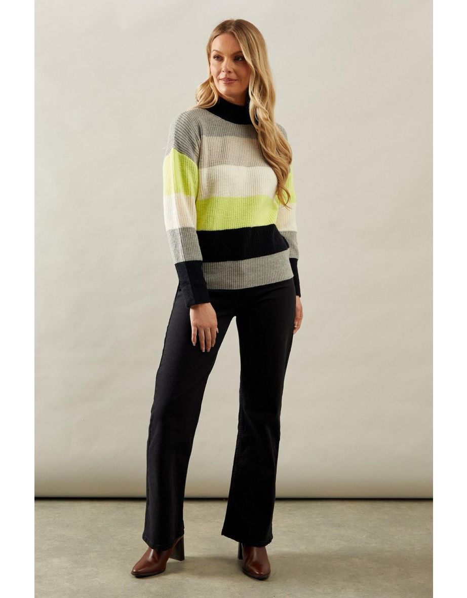 Multi Stripe High Neck Jumper