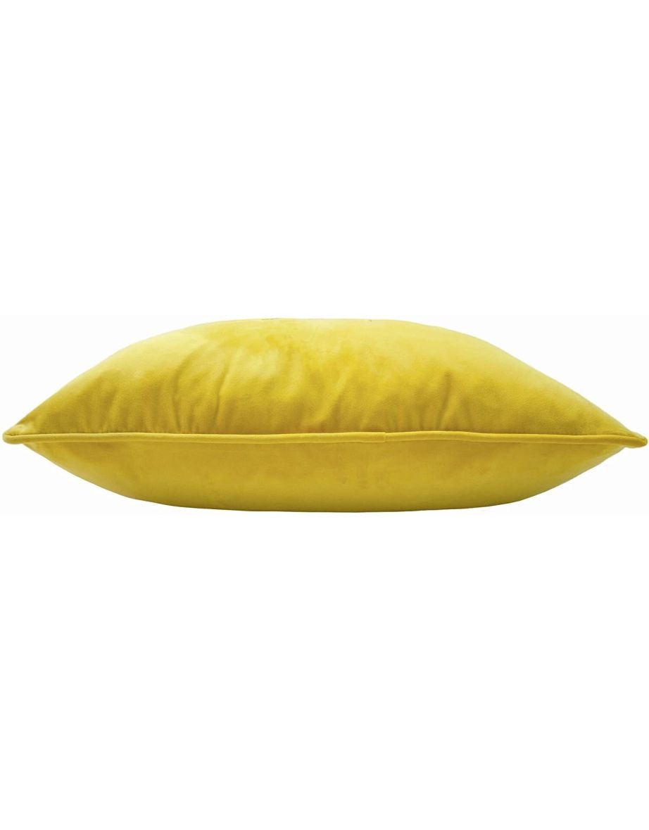 Paoletti bee clearance cushion