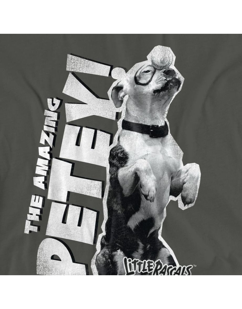 The Little Rascals Unisex Adult Amazing Petey T-Shirt - Charcoal - 3