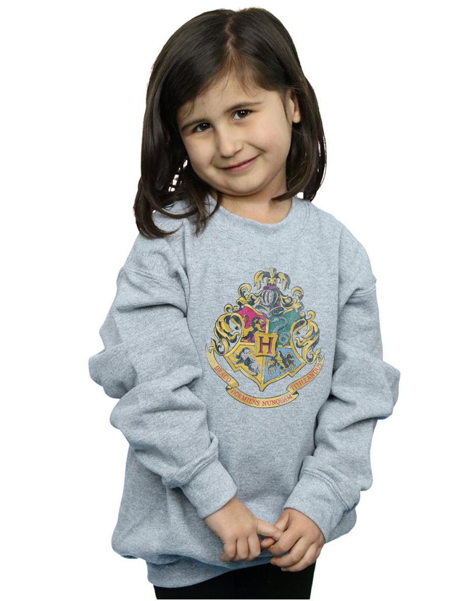 Harry Potter Girls Hogwarts Houses Cotton Sweatshirt - Sports Grey