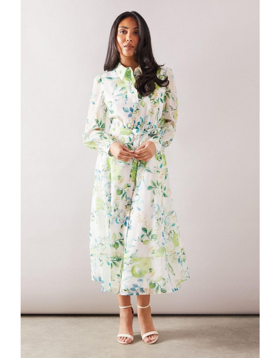 Petite Fruit Print Organza Belted Shirt Dress