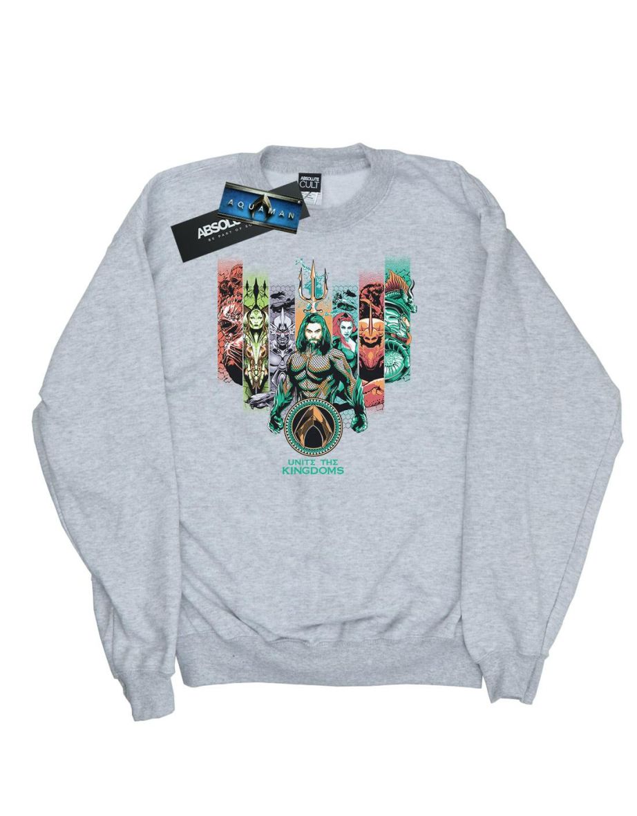 DC Comics Boys Aquaman Unite The Kingdoms Sweatshirt - Sports Grey