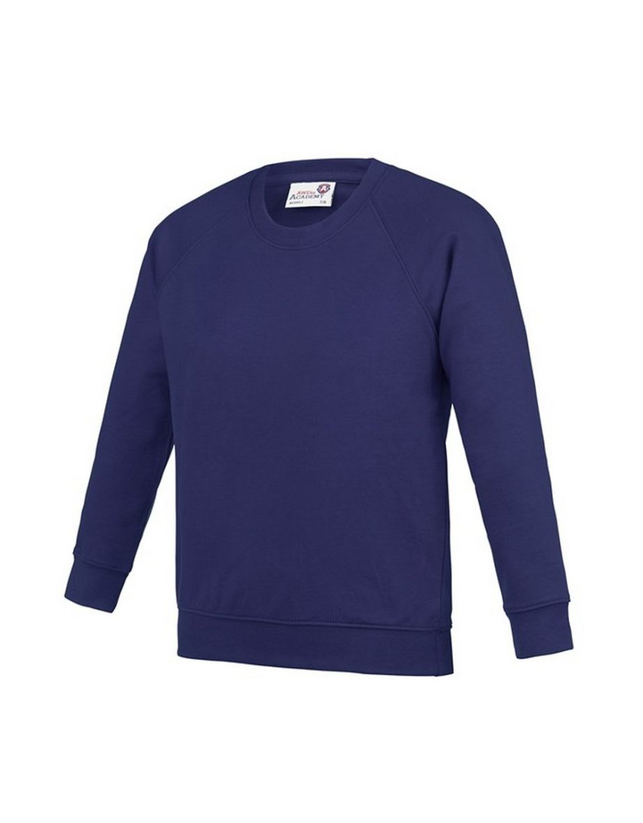 Awdis Childrens/Kids Academy Raglan Sweatshirt - Purple