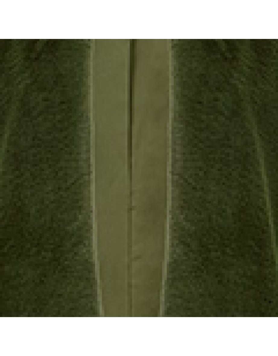 Yumi Green Faux Fur Gilet - 4