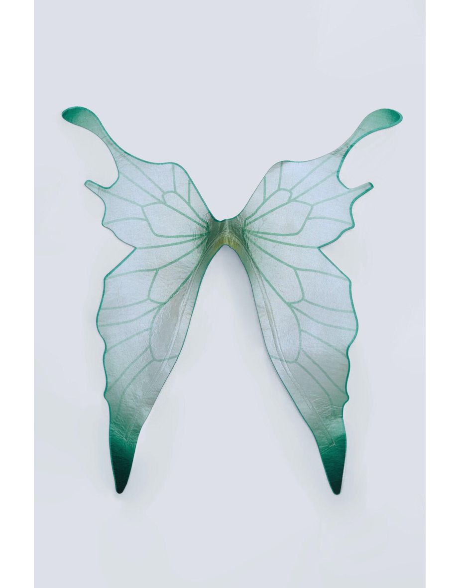 Butterfly Fairy Wings - 4