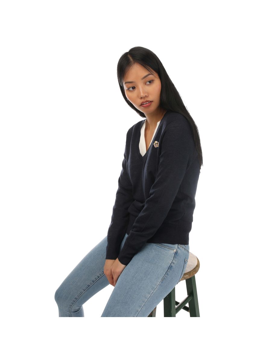 Women's Ted Baker Abiygal Merino Wool V Neck Sweater in Blue - 3